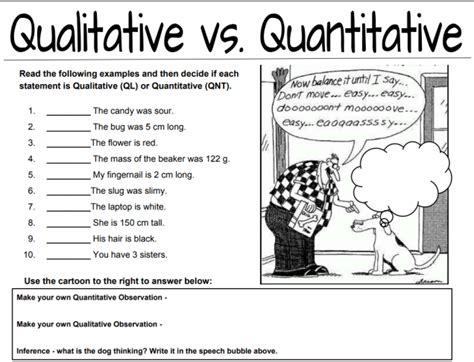 √ 20 Qualitative Vs Quantitative Worksheet | Simple Template Design